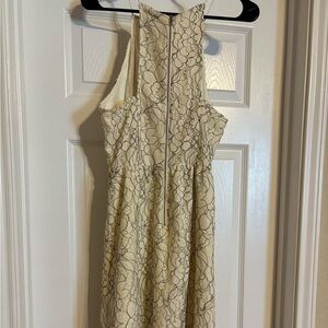 Elegant Cream Lace Dress